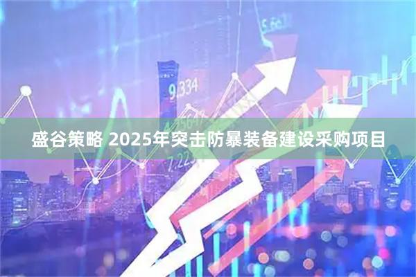 盛谷策略 2025年突击防暴装备建设采购项目
