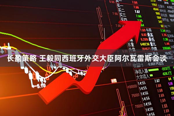 长盈策略 王毅同西班牙外交大臣阿尔瓦雷斯会谈