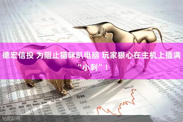 德宏信投 为阻止猫咪趴电脑 玩家狠心在主机上插满“小刺”！